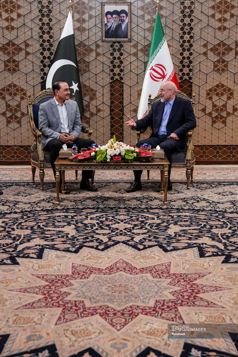 دیدار فرمانده ارتش پاکستان با رئیس مجلس شورای اسلامی