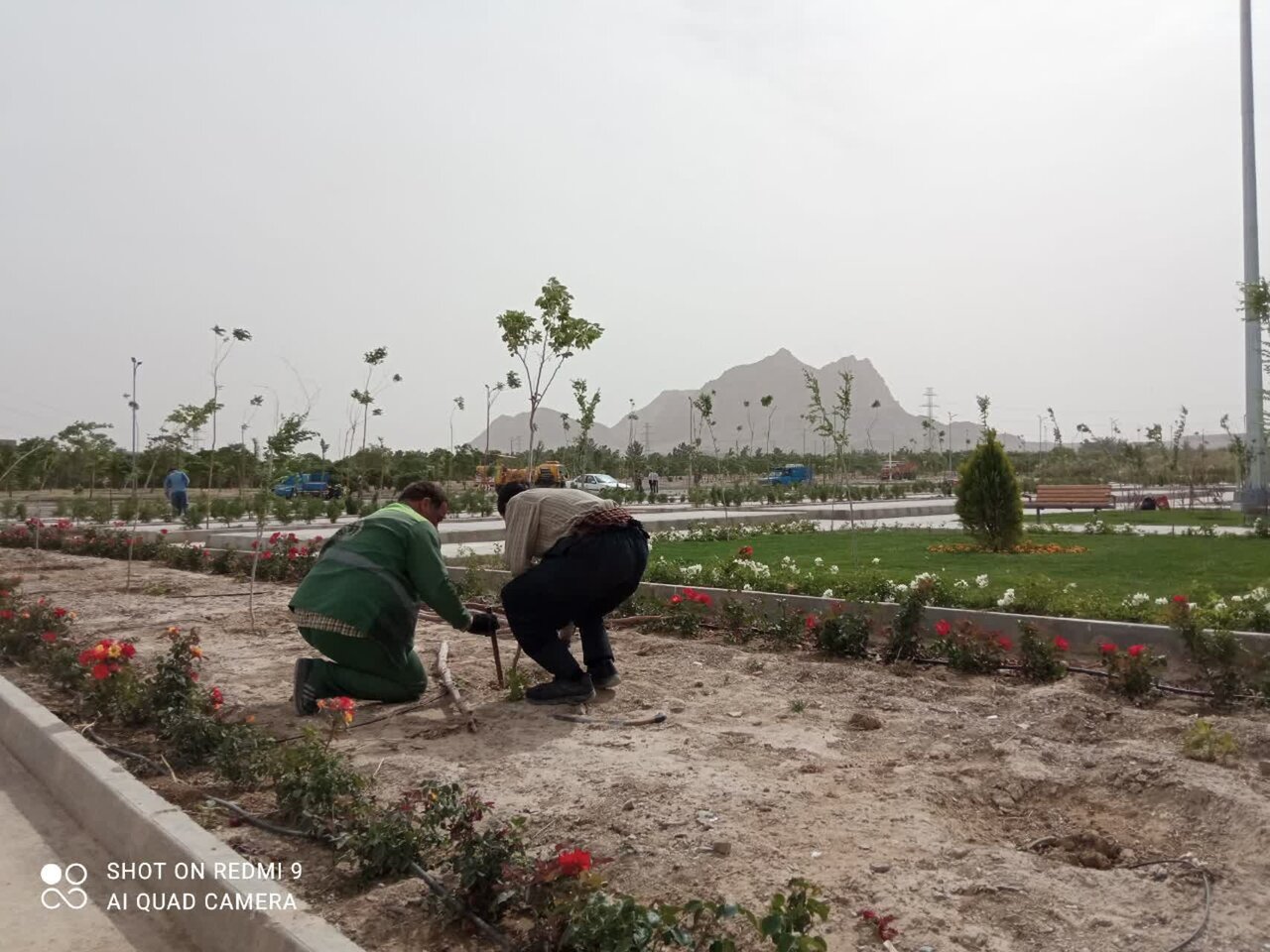 کاشت ۳۴۵۰ اصله درخت و درختچه در باغ تندرستی اصفهان