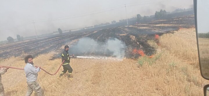 مهار دو حادثه آتش‌سوزی در اراضی کشاورزی شهرستان مهران