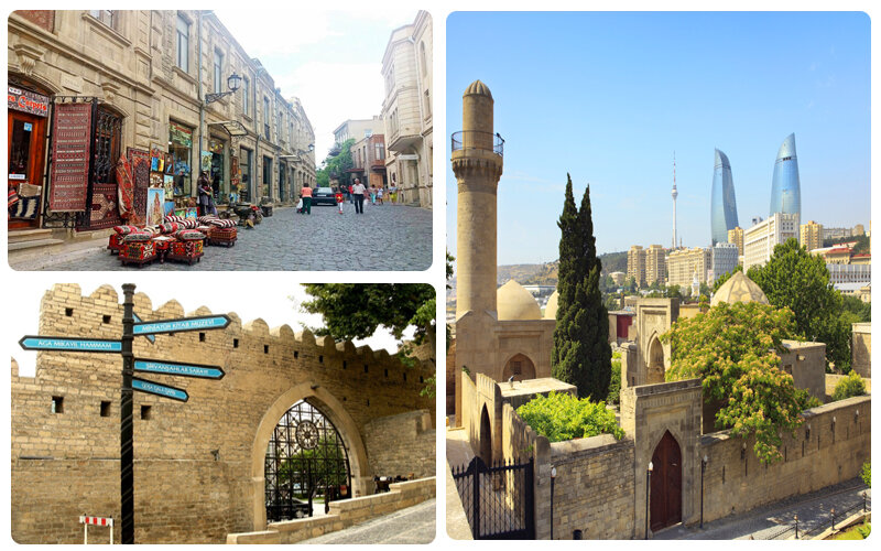 مینیپارکها؛ اکوسیستمهای کوچک اما حیاتی