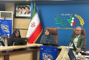 مهاجرانی: عدالت گستری ماموریت اصلی صندوق بیمه روستایی است