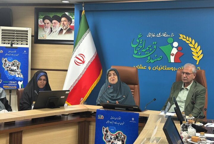 مهاجرانی: عدالت گستری ماموریت اصلی صندوق بیمه روستایی است