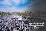 قرائت دعای عرفه در کربلا
