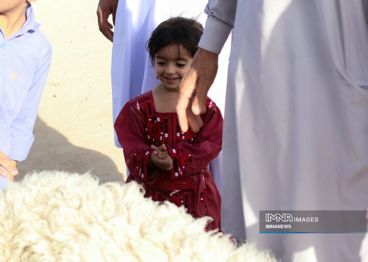 بازار خرید دام در زاهدان
