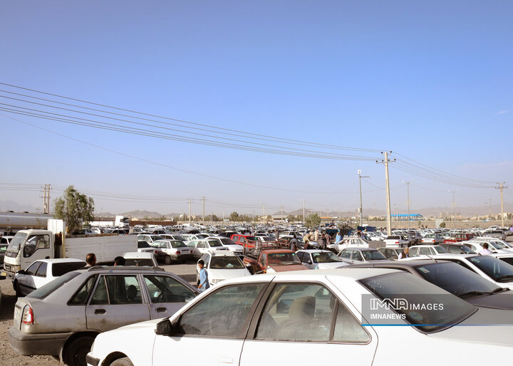 بازار خرید دام در زاهدان