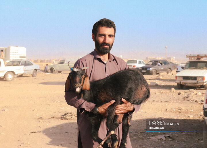 بازار خرید دام در زاهدان