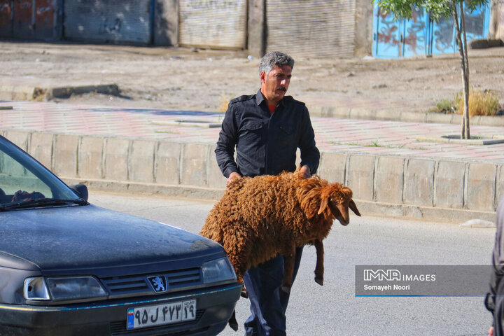 بازار دام کرمانشاه در عید اطاعت و بندگی قربان
