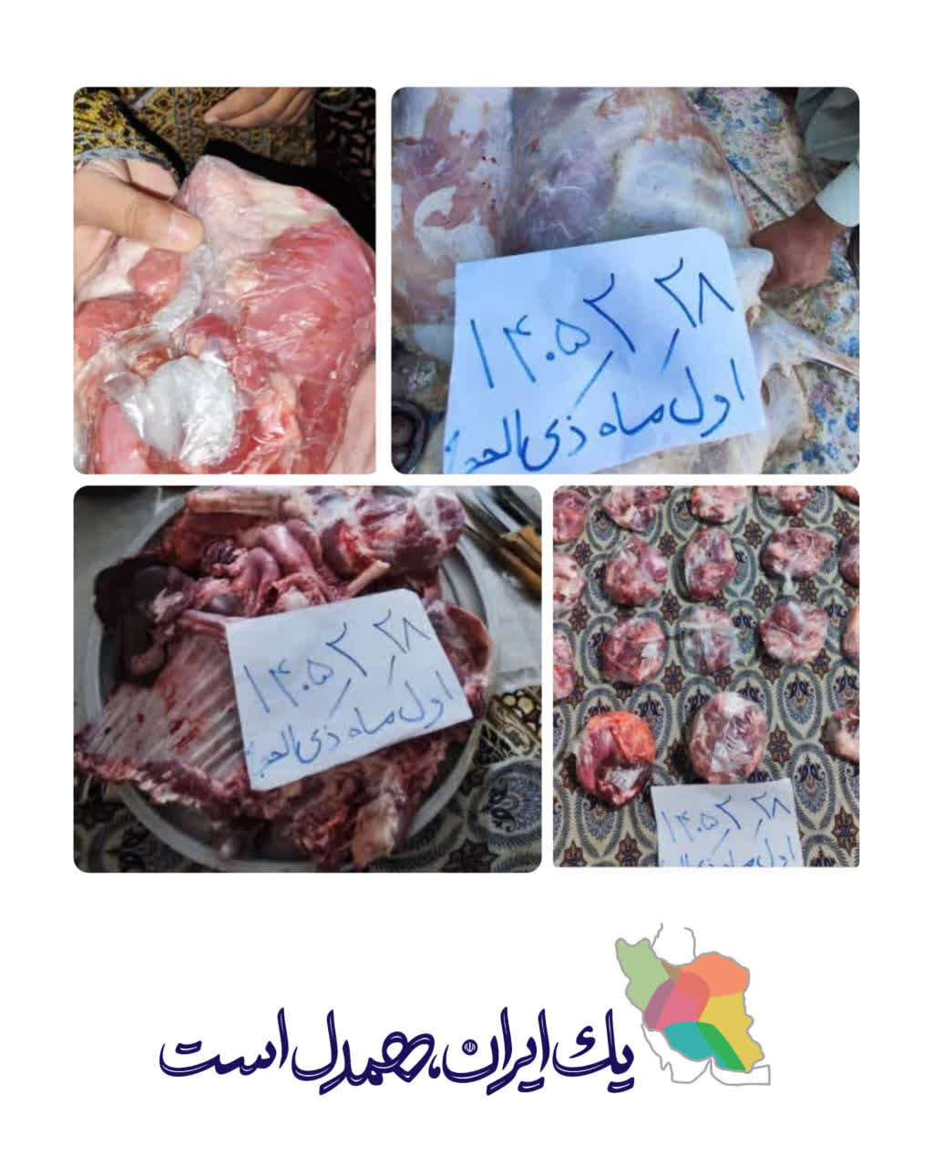 ملت ایران پیش از عید قربان هم به میدان آمدند؛ تجلی نوعدوستی در فرهنگ ایران