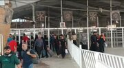 ورود بیش از ۳۱ هزار زائر به مرز مهران در ۲۴ ساعت گذشته + فیلم