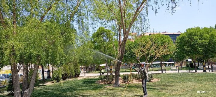 سم‌پاشی ۱۰۰ هزار اصله درخت در سطح شهر اراک