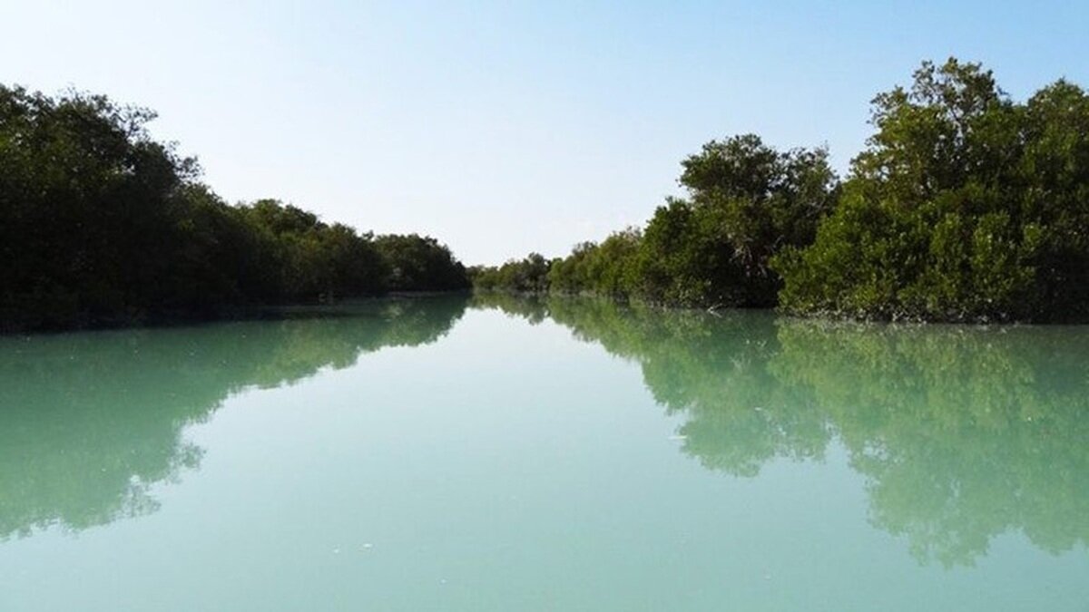 از سرریز شدن آب ۳ تالاب کشور تا احیای بوجاق و خشکی آلاگل