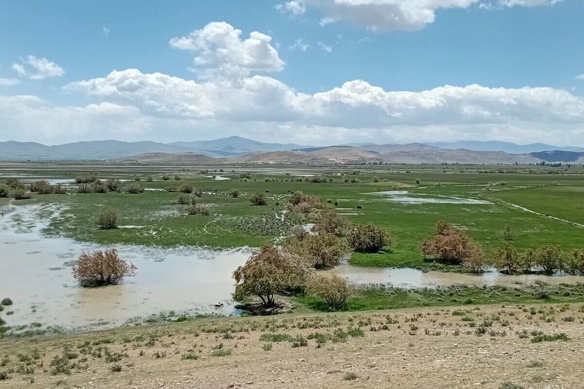 از سرریز شدن آب ۳ تالاب کشور تا احیای بوجاق و خشکی آلاگل