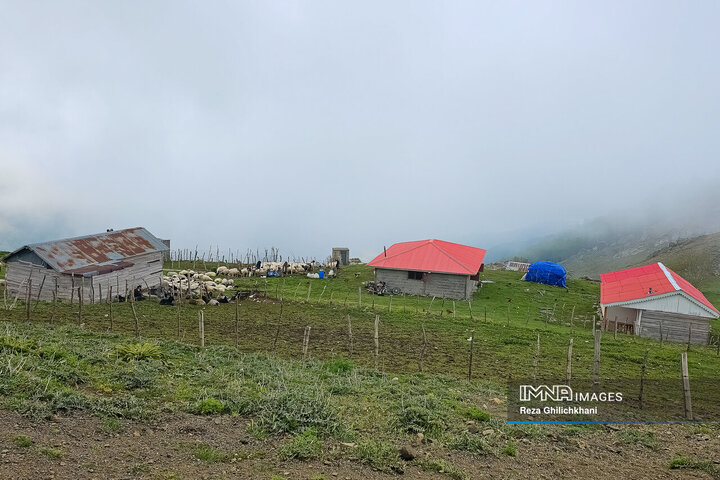 طبیعت ییلاقی اسالم به خلخال
