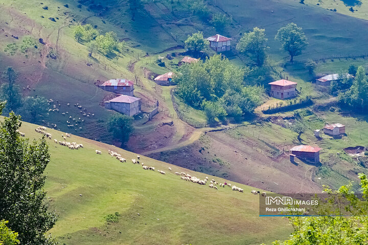 طبیعت ییلاقی اسالم به خلخال