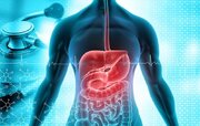 سلامت دستگاه گوارش؛ قربانی خاموش سبک زندگی مدرن