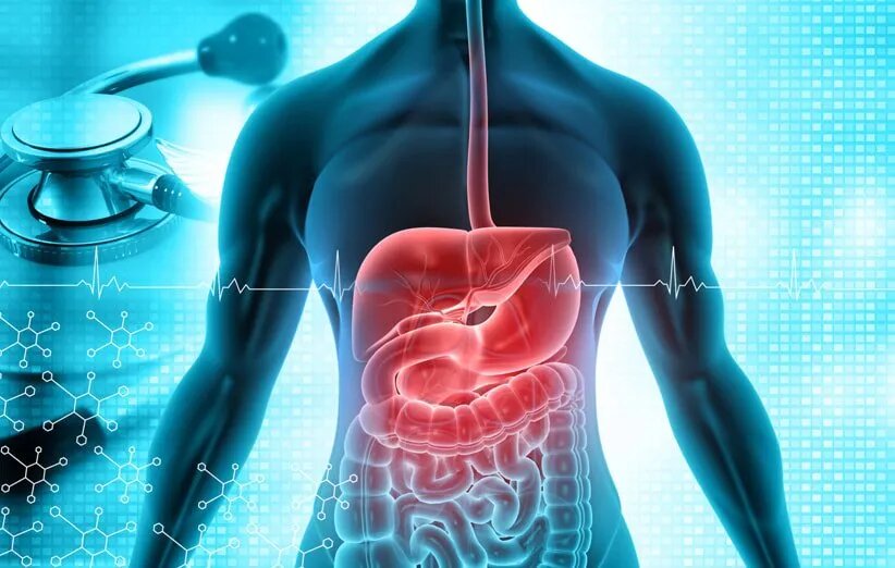 رازهای نهفته در سلامت دستگاه گوارش؛ از میکروبیوم تا تاثیر بر خلق‌وخو