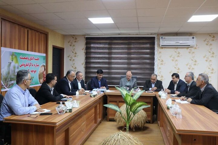 جریمه ۲۳۰ میلیارد تومانی واحد مرغ مادر در مازندران