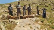 بازگشت ۱۸ کبک و یک سهره طلایی به طبیعت در منطقه حفاظت‌شده عبدالرزاق سقز