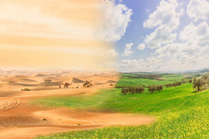 بیابان‌زایی در کمین؛ نبردی خاموش برای حفظ خاک و زندگی