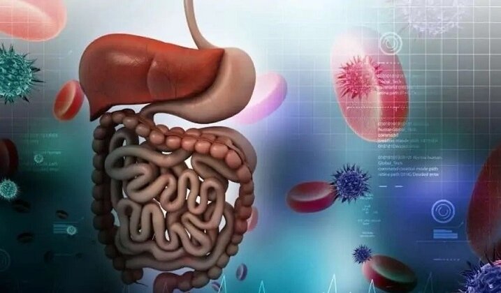The Intricate Interplay of Gastrointestinal Health: From the Gut Microbiome to Mood Modulation