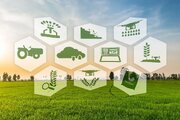 اجرای قانون بهره‌وری در اصفهان؛ اولویت تسهیلات برای کشاورزی دانش‌بنیان