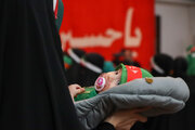 فیلم| شیرخوارگان شیرازی در سوگ علی‌اصغر(ع)