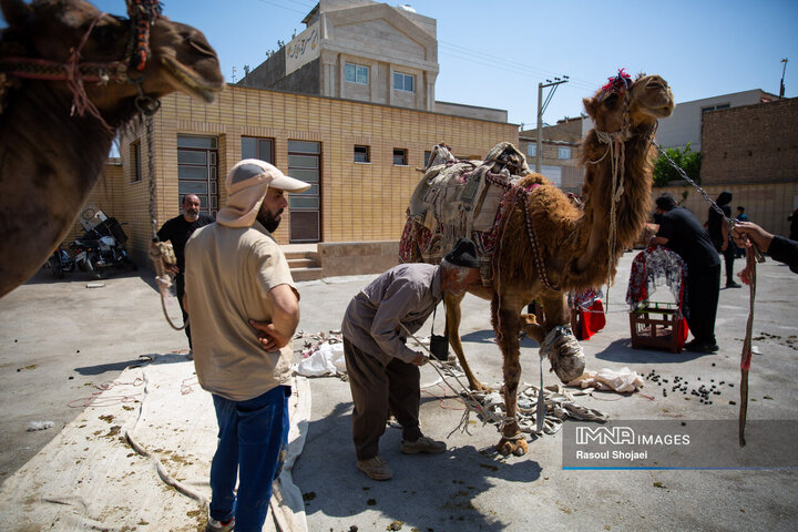 کاروان نمادین خمینی شهر