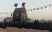 فیلم| آیین سنتی نخل‌برداری در یزد