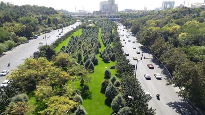 آغاز نهال‌کاری مشارکتی در حاشیه یکی از مهم‌ترین محورهای مواصلاتی البرز