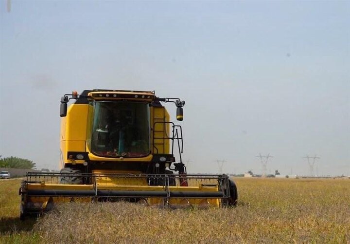 پیش‌بینی برداشت ۱۵۰ هزار تن گندم از اراضی کشاورزی چهارمحال‌وبختیاری