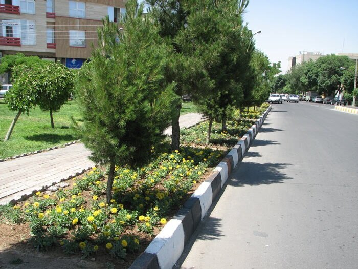 از کمربند سبز تا باغ‌های شهری؛ ضرورت بازنگری در الگوی درختکاری