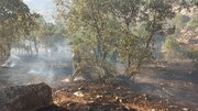 آتش‌سوزی دامنه آبیدر سنندج مهار شد