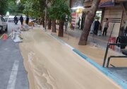 نفوذ گل حفاری به قسمتی از خیابان نشاط اصفهان/ تمیزکاری و شست‌وشوی معبر انجام شد + عکس