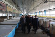 حفظ ذخایر آبزیان دریای خزر بدون مراکز تکثیر امکان‌پذیر نیست
