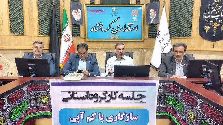 گسترش بی‌ضابطه کشت‌های آب‌بر، خیانت به حقوق نسل آینده است