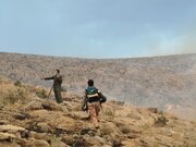 مهار حریق در ۹۵۰ هکتار از اراضی کرمانشاه/ استقرار ۴۰ پایگاه مردمی برای حفاظت از زاگرس