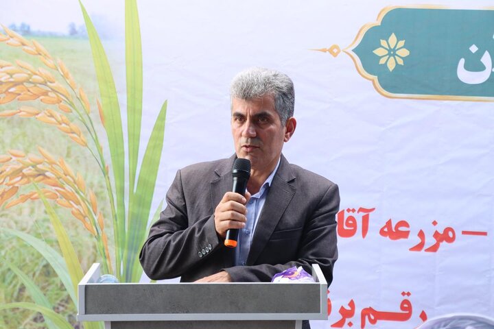توسعه مکانیزاسیون، راهکار افزایش بهره‌وری و پایداری تولید برنج است