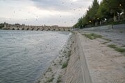 افزایش موقت حشرات در حاشیه زاینده‌رود طبیعی است/ آغاز عملیات کنترل کانون‌های پشه