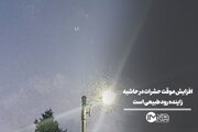 دلیل افزایش پشه و حشرات در حاشیه زاینده‌رود