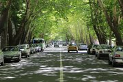 زیرساخت‌های سبز؛ سپر شهرها در برابر گرما