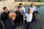 مجتمع پرورش ماهی آزادگان بیش از ظرفیت اسمی، تولید دارد