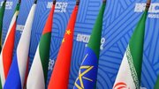 اعلام همبستگی وزیر بهداشت اندونزی با ایران در نشست دو جانبه اجلاس وزرای بهداشت بریکس