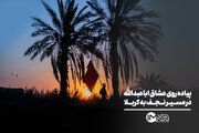 پیاده روی عشاق اباعبدالله در مسیر نجف به کربلا