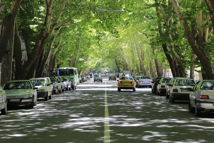 زیرساخت‌های سبز؛ سپر شهرها در برابر گرما