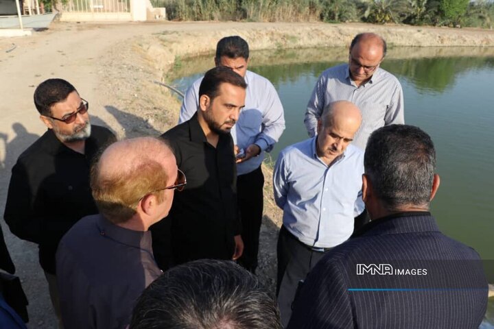 مجتمع پرورش ماهی آزادگان بیش از ظرفیت اسمی، تولید دارد