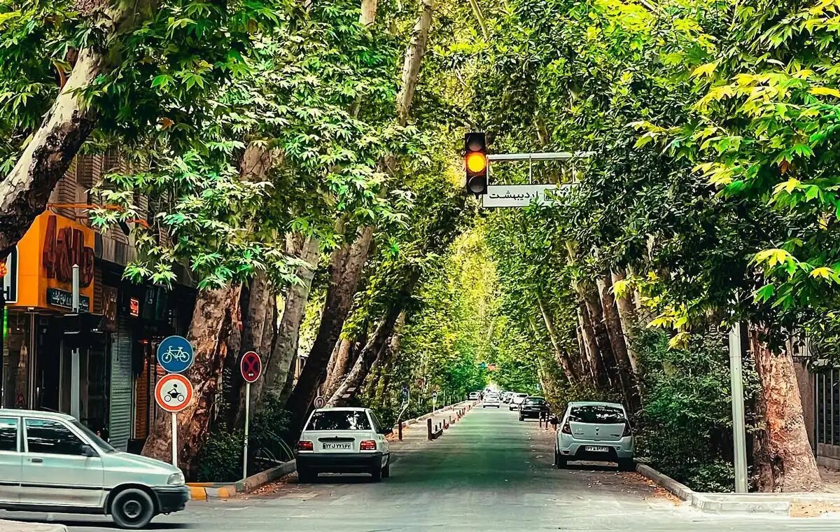 زیرساخت‌های سبز؛ سپر شهرها در برابر گرما