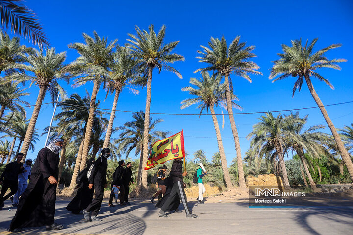 پیاده‌روی عاشقان حضرت اباعبدالله الحسین(ع) در شامیه