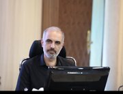 هشدار شورای شهر کرج نسبت به نابودی چنارهای کهنسال