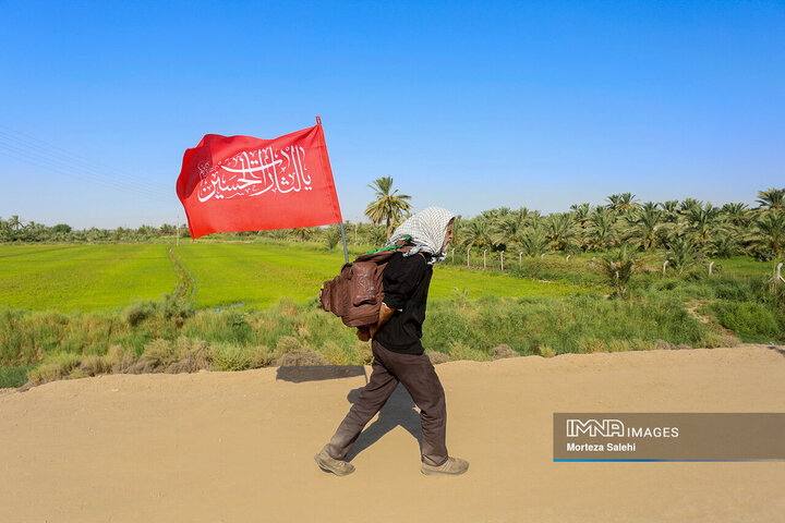 پیاده‌‌روی اربعین حسینی در مسیر «طریق‌ العلما»