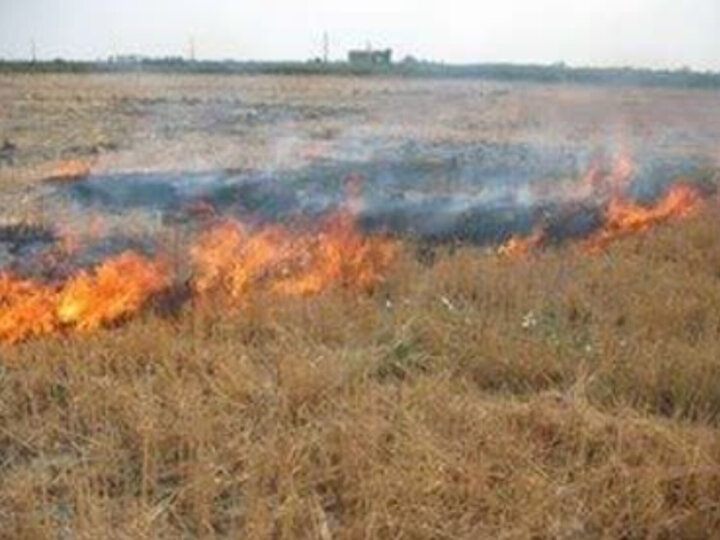 کاه و کلش عامل مرگ‌بار در جاده‌های مازندران